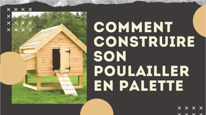 Comment construire son poulailler en palettes : 5 étapes simples